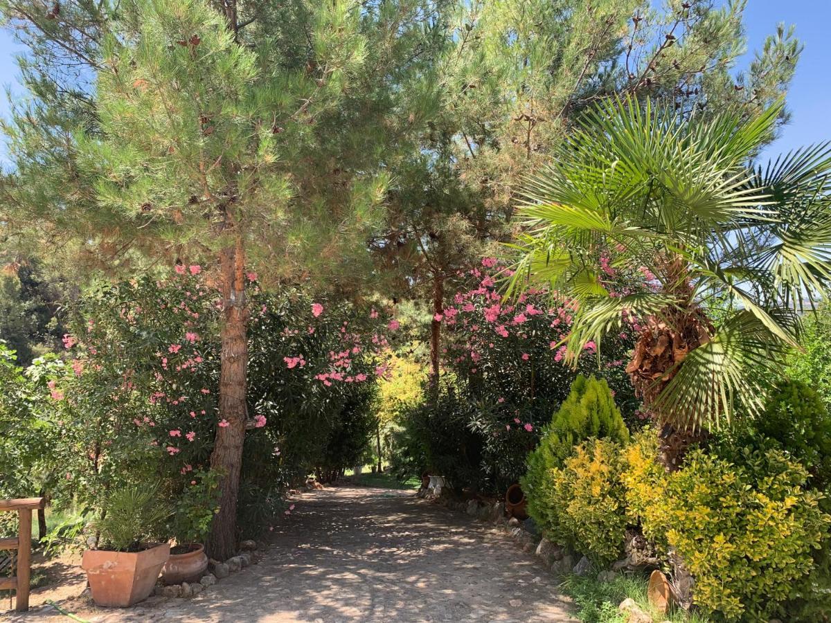Cortijo La Julia Villa Orcera Exteriör bild